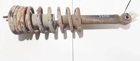 Rear shock absorber/damper