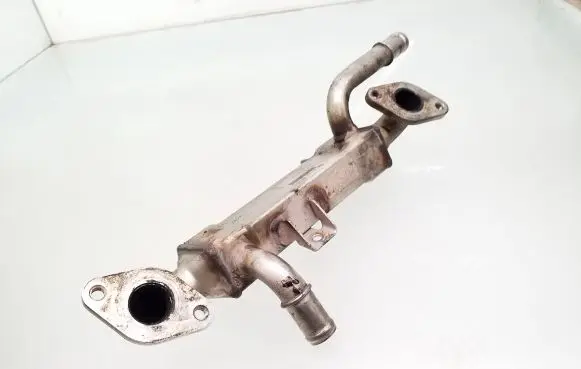 Seat Alhambra (Mk1) EGR valve cooler 038131513L