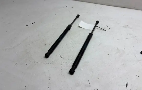 BMW 2 F22 F23 Tailgate/trunk strut/damper 7304556