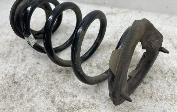 Rear coil spring