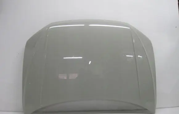 Volkswagen T-Roc Engine bonnet/hood E1DV7JKW
