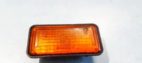 Front fender indicator light