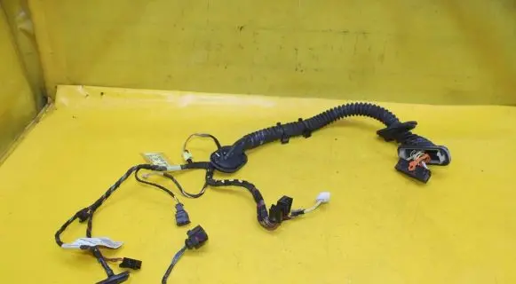 Porsche Cayenne (92A) Front door wiring loom 7P5971161A