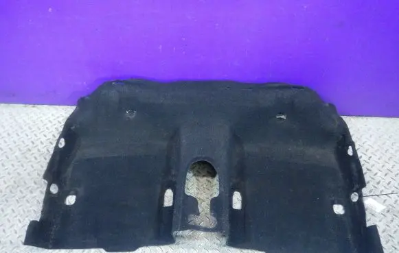 Renault Clio III Front floor carpet liner 8200409574