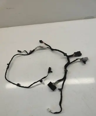 Front door wiring loom