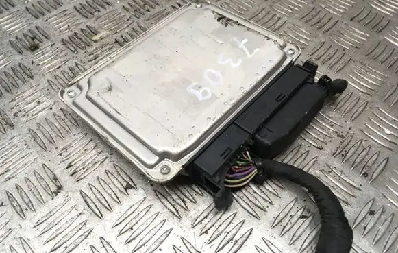 Skoda Octavia Mk2 (1Z) Engine control unit/module 036906032BF 1039S13347 18240069