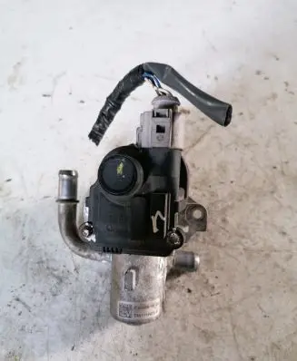 Nissan Juke I F15 EGR valve 8200846454