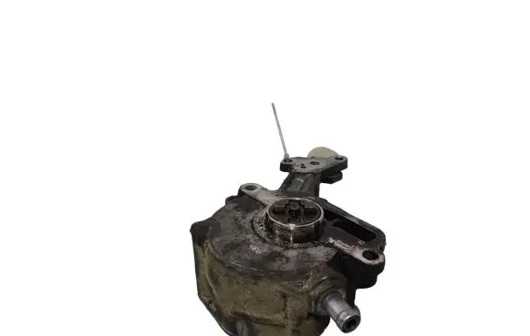 Volkswagen PASSAT B6 Vacuum pump 038145209