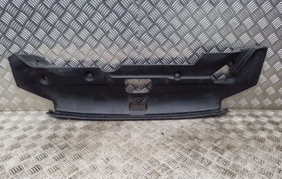 Engine bonnet/hood lock trim molding