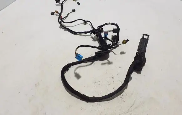 Cupra Formentor Other wiring loom 5FG971121D
