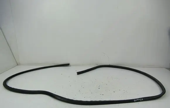 Ford Fiesta Front door rubber seal 