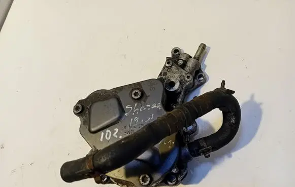 Volkswagen Sharan Vacuum pump 038145209A