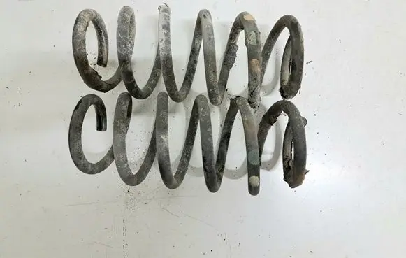 Rear coil spring