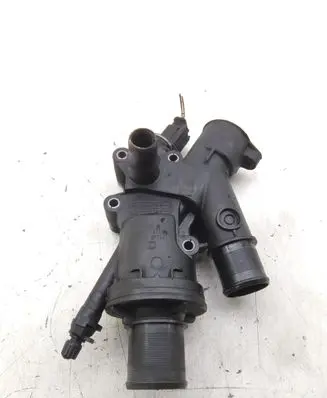 Thermostat/thermostat housing