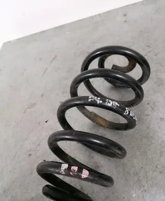 Volkswagen PASSAT B6 Rear coil spring
