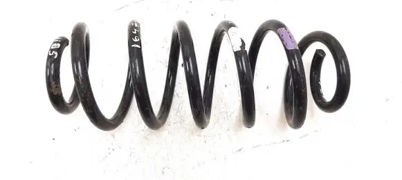 Rear coil spring
