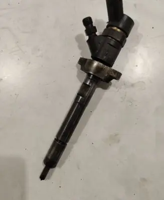 Citroen Berlingo Fuel injector 0445110239