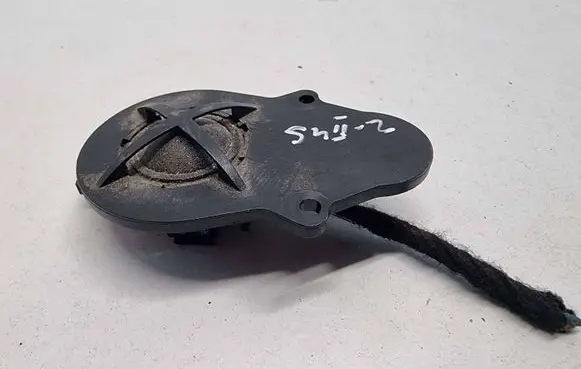 Front door high frequency speaker