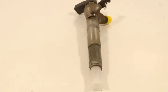Renault Fluence Fuel injector H8200704191
