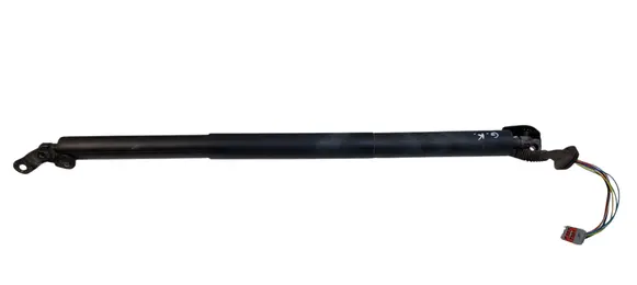Ford Escape III Tailgate/trunk strut/damper CJ54S402A55 CJ54S402A55AD V2G7B