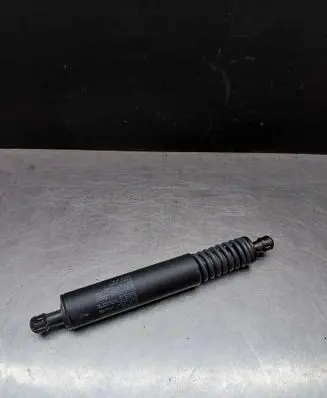 Porsche Cayenne (9PA) Tailgate strut 0344031900N