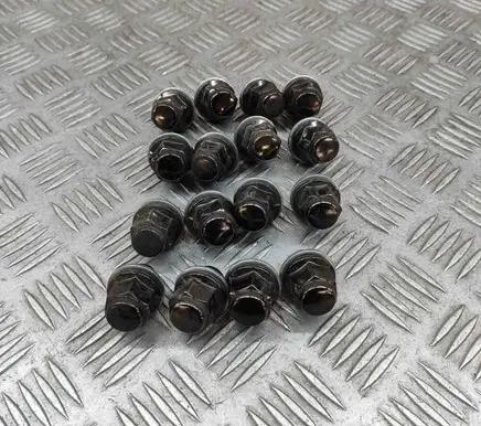 Nuts/bolts