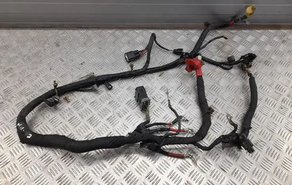 Ford Mustang VI Engine installation wiring loom