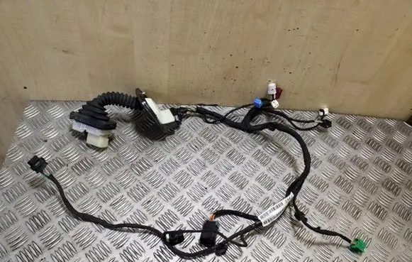 Front door wiring loom