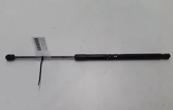 Tailgate strut