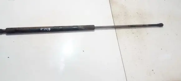 Renault Kangoo I Tailgate/trunk strut/damper