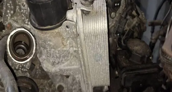 Mercedes-Benz CLS C219 Engine oil radiator 