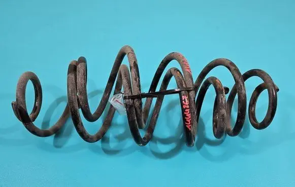 Rear coil spring