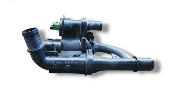 Thermostat/thermostat housing