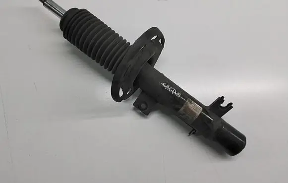 Citroen C4 Cactus Front shock absorber/damper 22296978