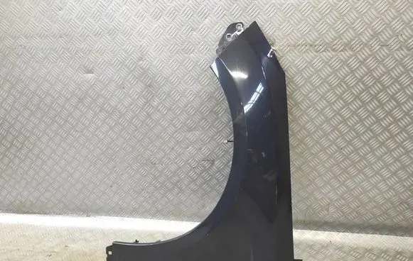 Ford Focus Fender