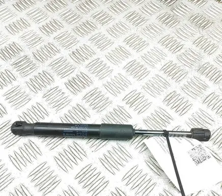 Tesla Model Y Front bonnet/hood damper/strut 169257600A