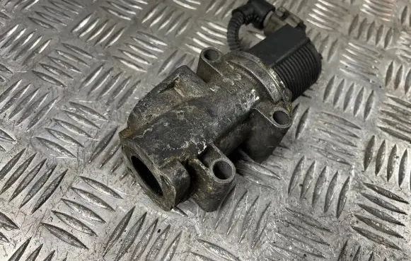 Opel Zafira B EGR valve 50024005