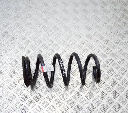 Tesla Model 3 Rear coil spring 104447291E