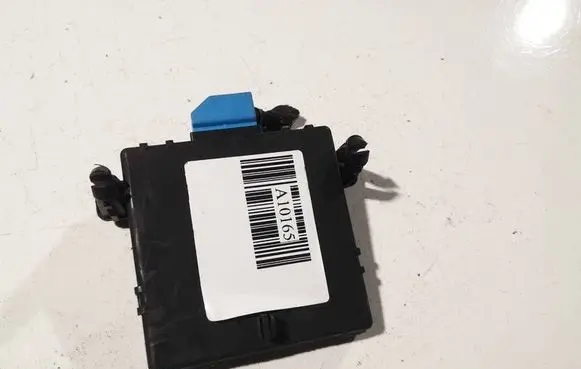 Volkswagen PASSAT B6 Door control unit/module 3c0907530c 3c0907951a