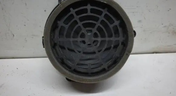 Rear door speaker