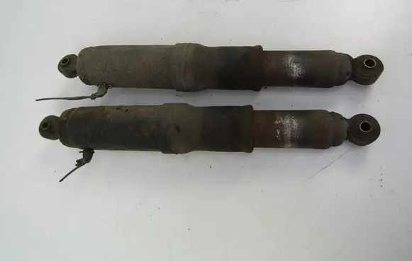 Chevrolet Trans Sport Rear shock absorber/damper 