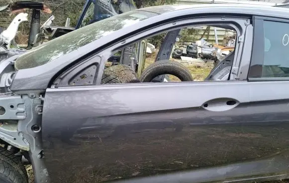 Opel Insignia B Front door