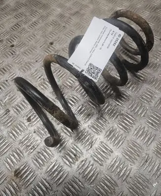Rear coil spring