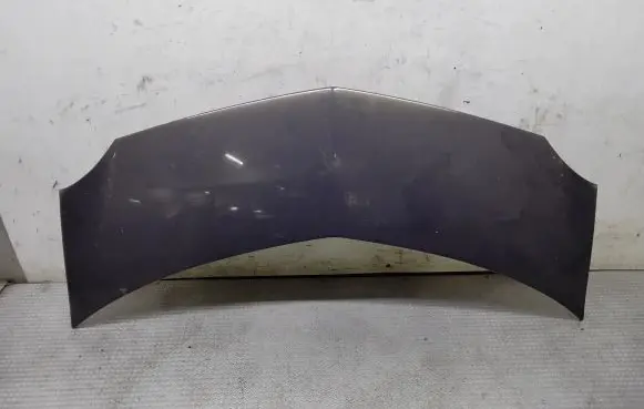 Renault Modus Engine bonnet/hood