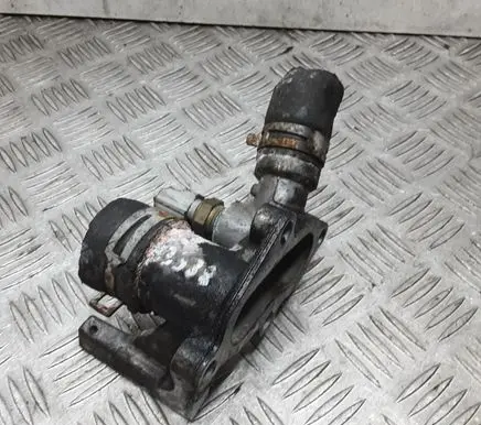 Thermostat/thermostat housing