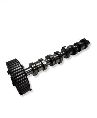 Volkswagen Touran I Camshaft 038109111E