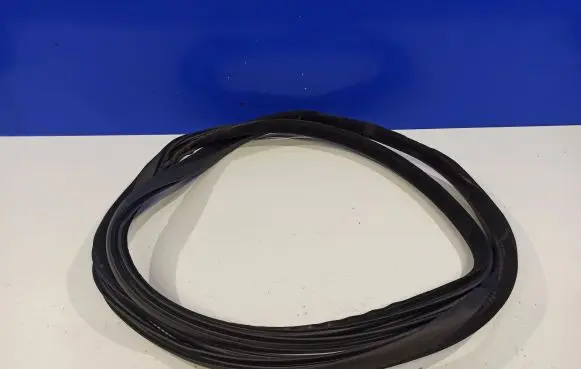 Volvo S80 Rubber seal rear door 30649295