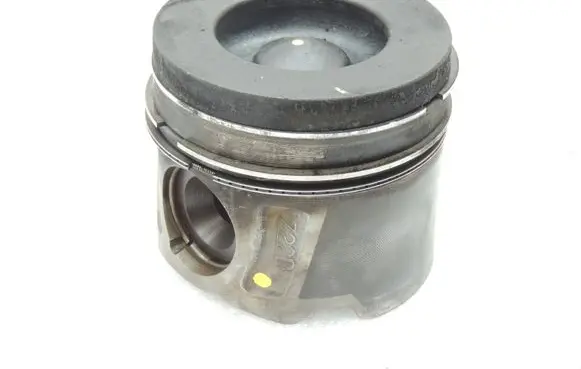 Opel Antara Piston 25183718 25195330