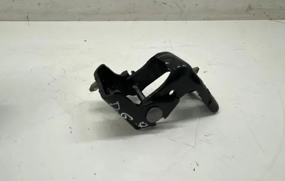 Rear door lower hinge
