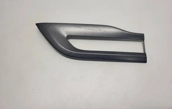 Rear/tail light trim molding